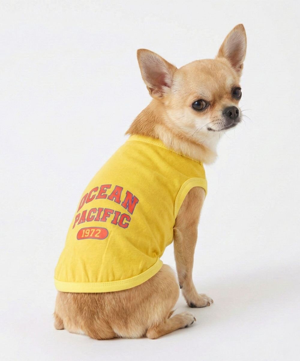 OP／FILA 【Ocean Pacific】アメカジドッグウェア ペットウェア 