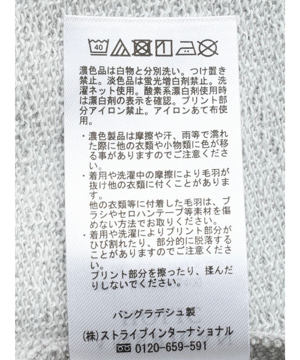 AMERICAN HOLIC ミニ裏毛ロゴスウェット2 