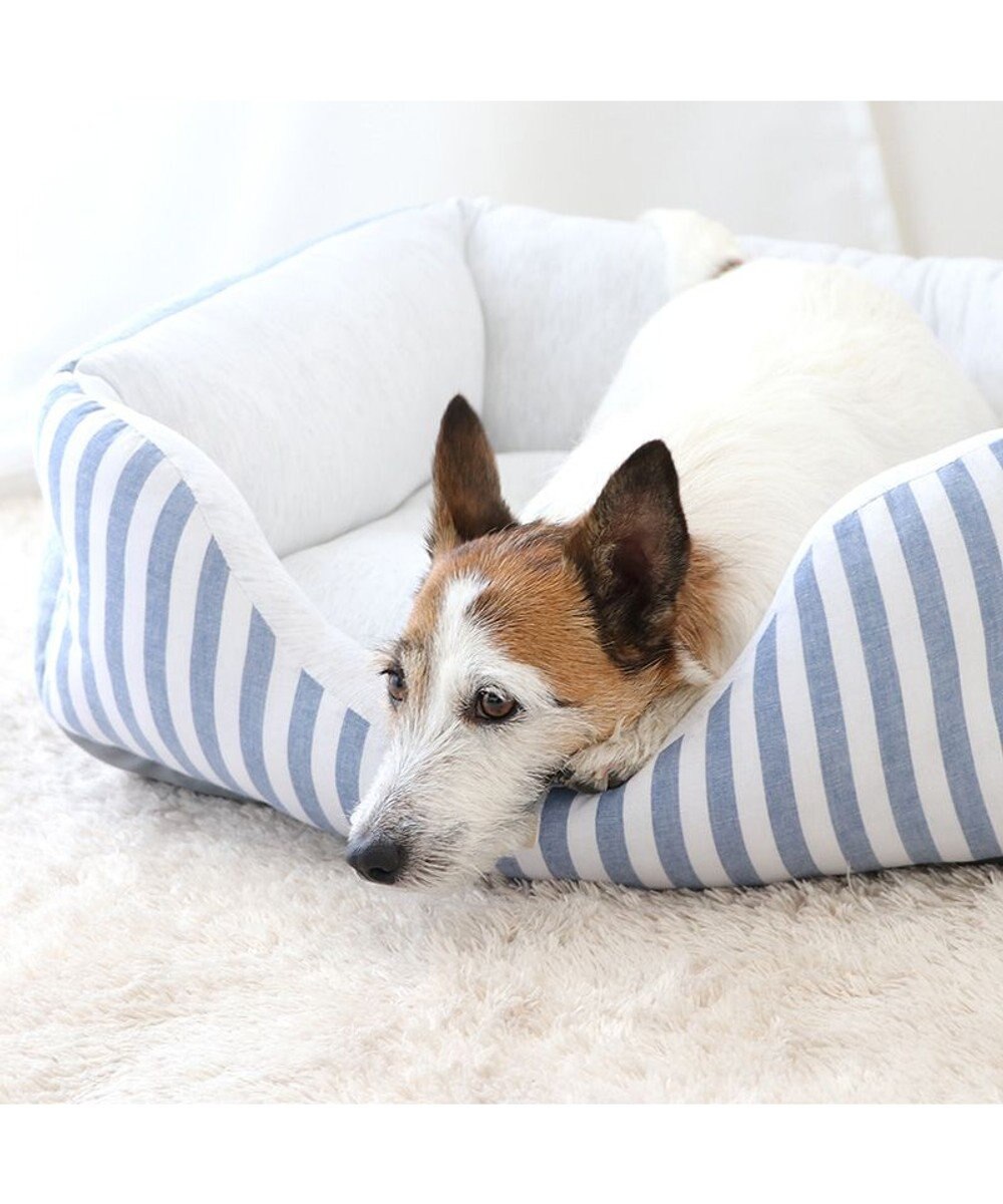 PET PARADISE ペットパラダイス　ストライプカドラー《 ブルー》 小型犬 