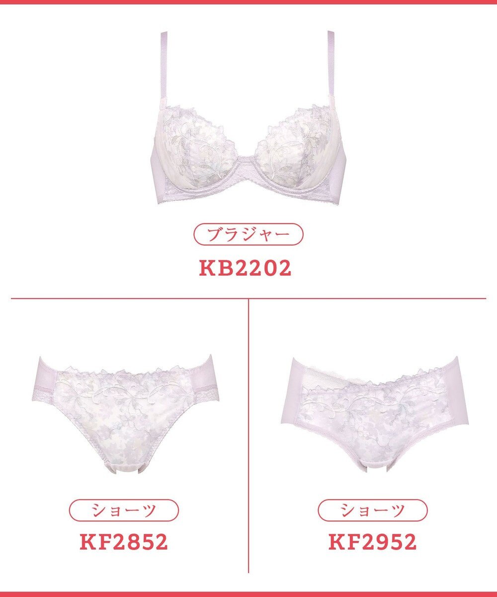 Wing 【エアリーソフトブラ】　ふんわりエアリーな着用感　脇から背中すっきり　ウイング／ワコール　KB2202 