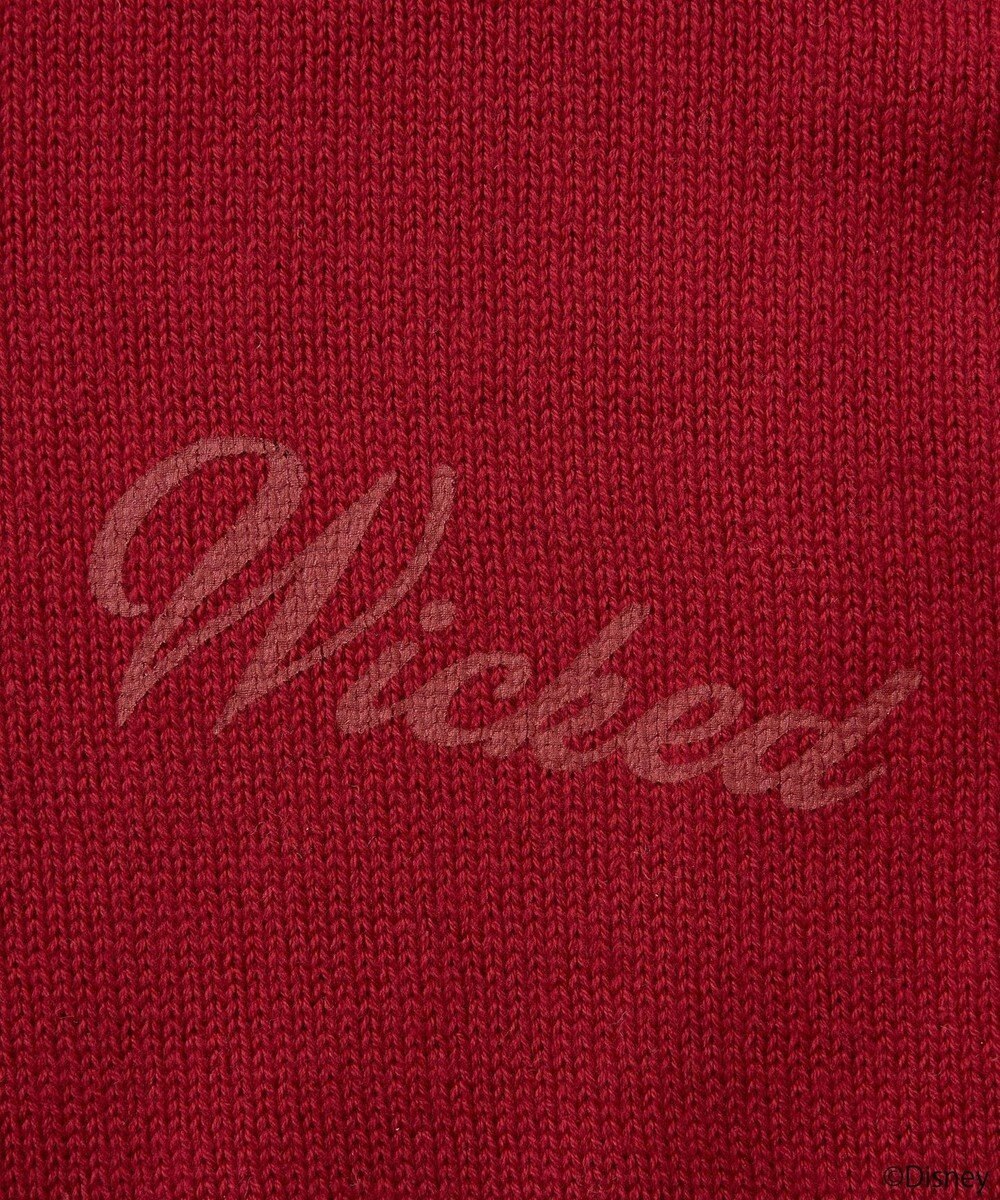 earth music&ecology Ｖｉｌｌａｉｎｓ　ジャファー／ニットカーディガン 