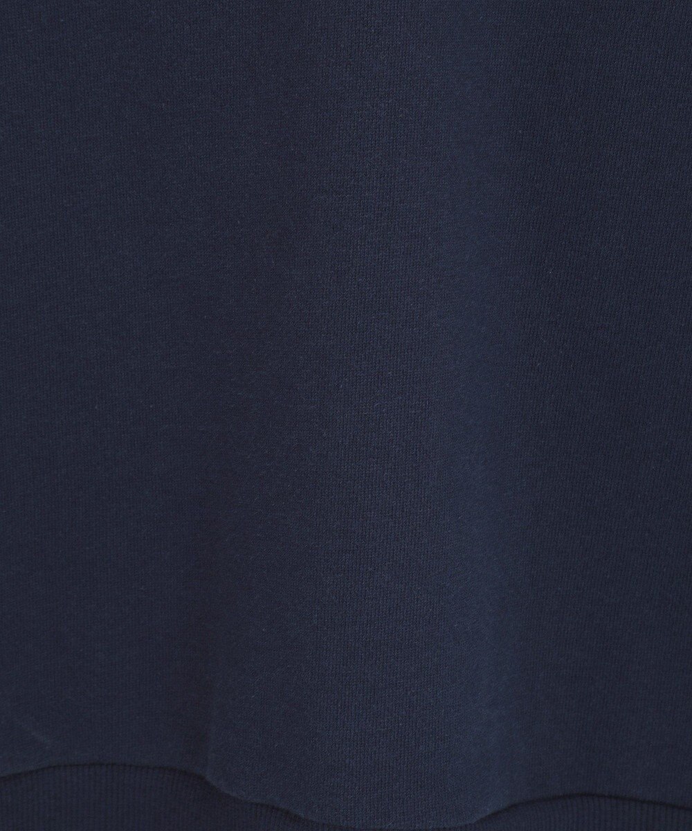 AMERICAN HOLIC カレッジロゴクラックプリント裏毛プルオーバー 