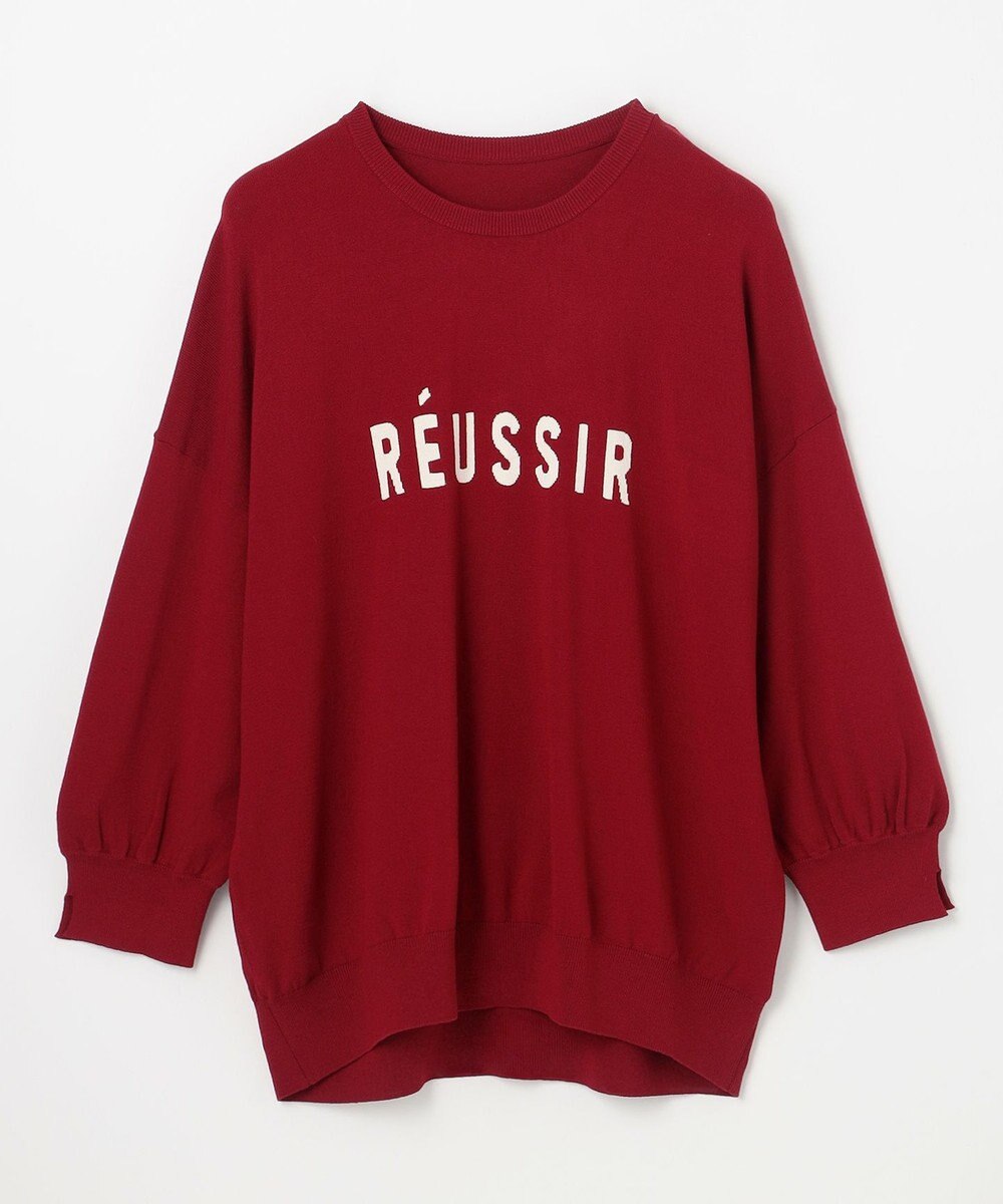 ANY インターシャロゴニットプルオーバー 