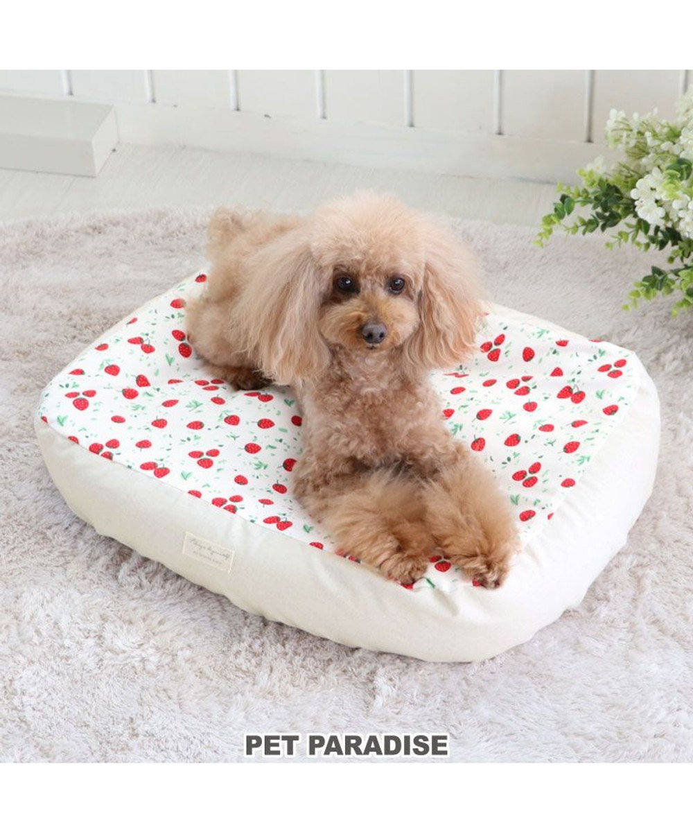 PET PARADISE ペットパラダイス カバー付きカドラー 《いちご柄》 (57×45cm) 苺柄