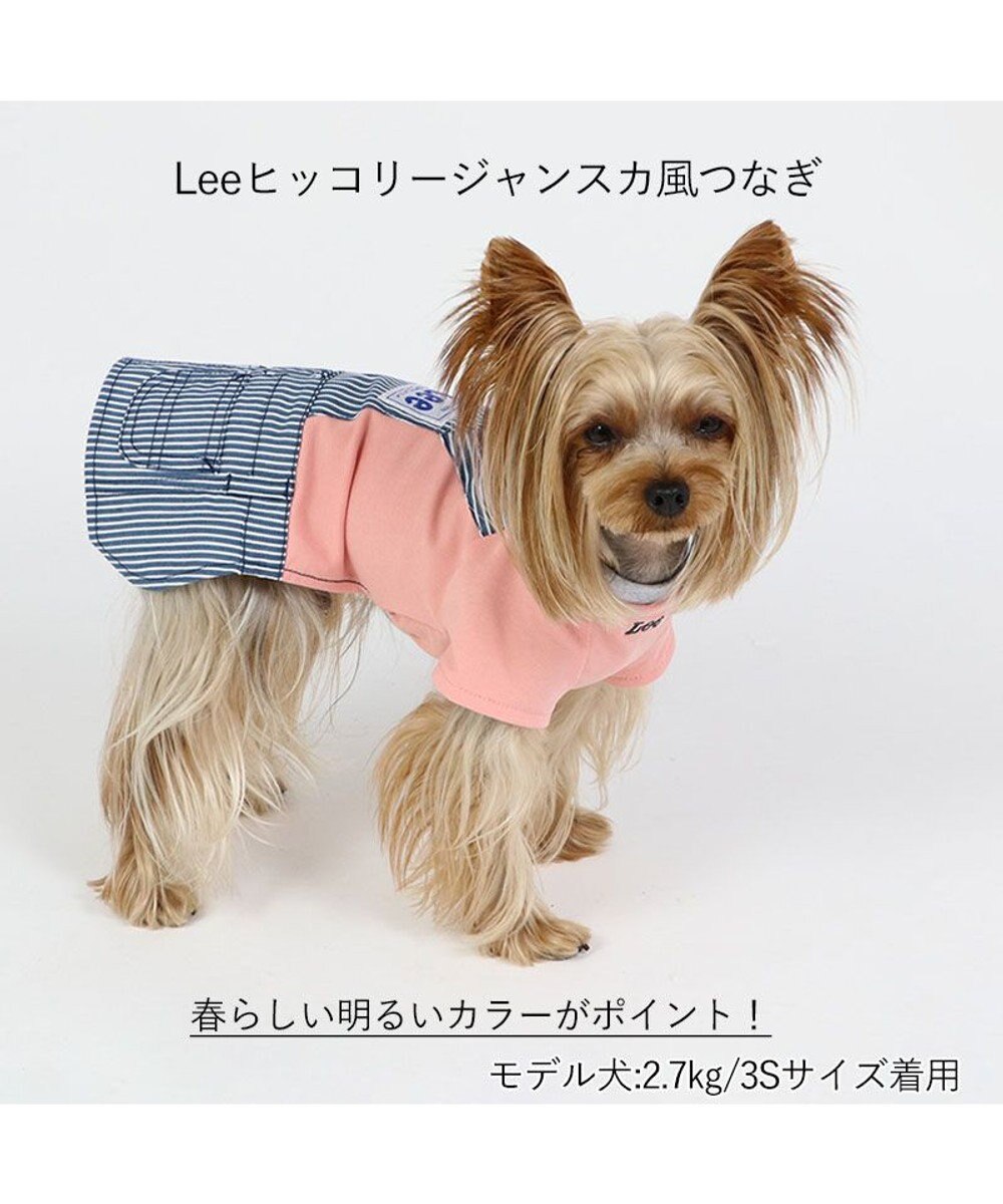 PET PARADISE 犬の服 犬 服 秋冬 Ｌｅｅ スカート つなぎ 【小型犬】 ヒッコリー 