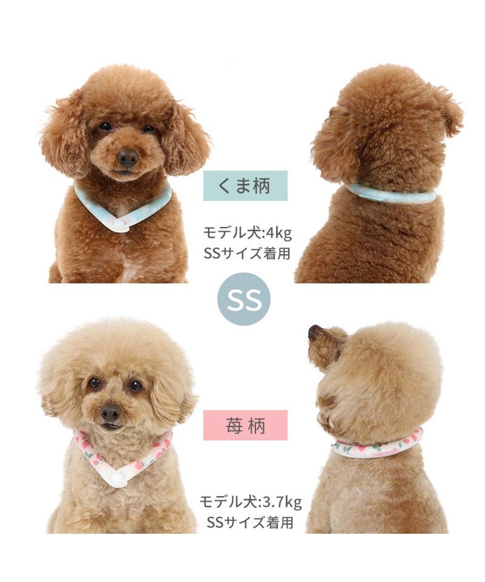 PET PARADISE ペットパラダイス 28℃クールリング SUO 《いちご柄》 〔ＳＳ〕 小型犬 