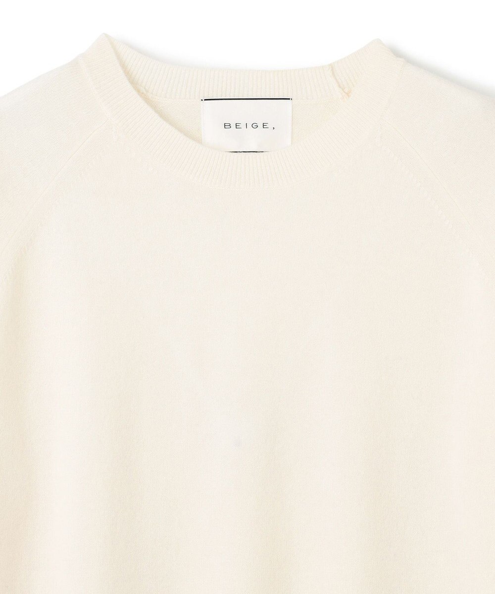 BEIGE， 【WEB限定・洗える】DEMING / バイカラーウールクルーネックニット 