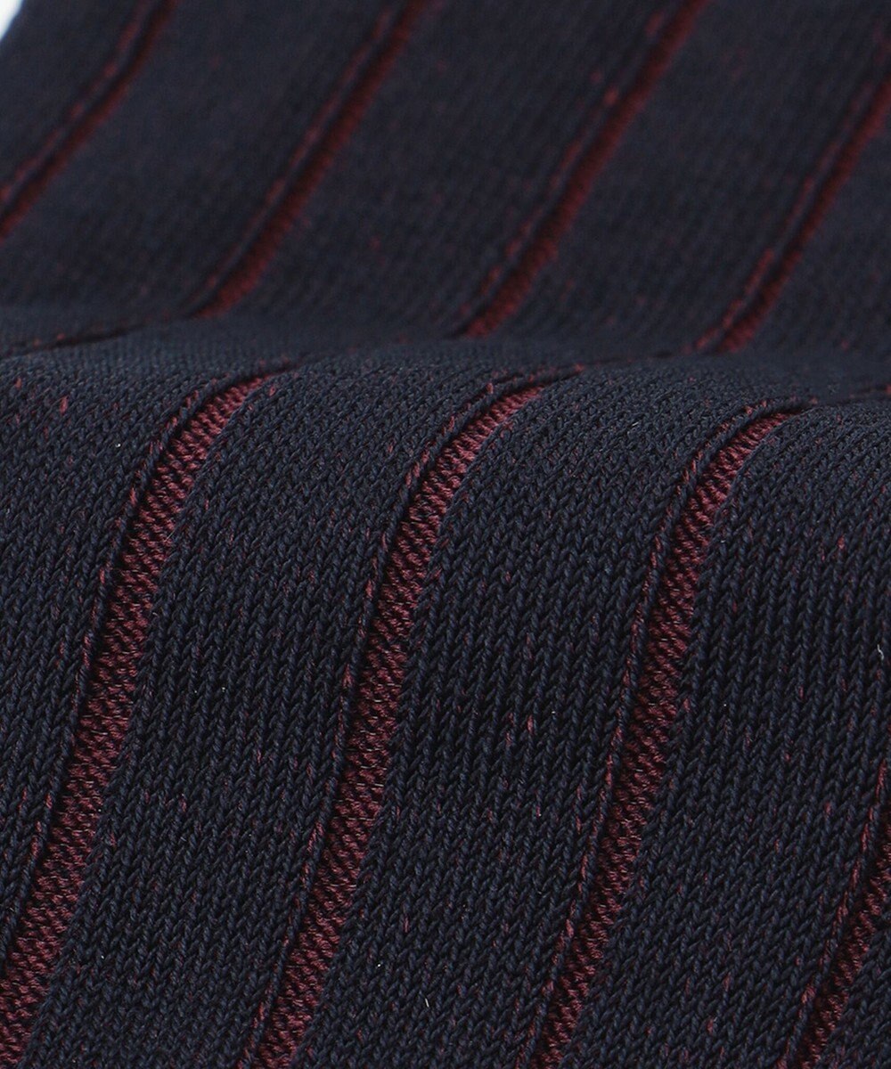 J.PRESS MEN 【定番】ハイゲージワイドストライプ リブソックス 