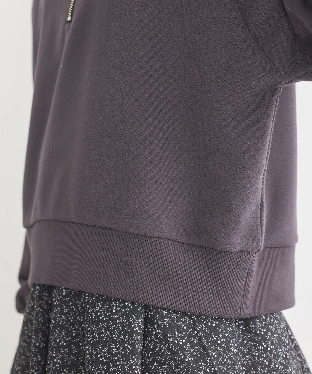 earth music&ecology チャンピオン　ｅｍａｅハーフジップ裏毛プルオーハ 