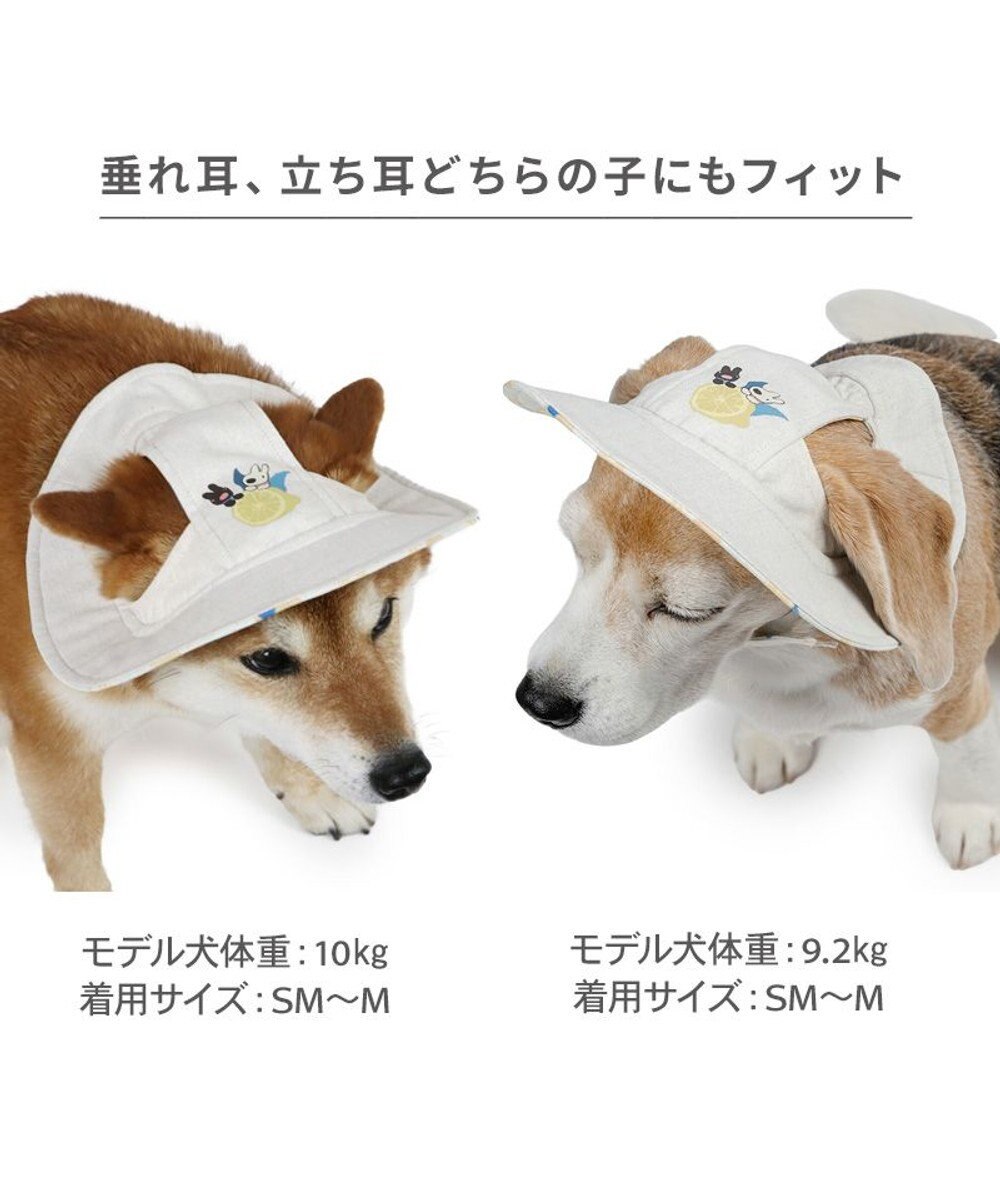 PET PARADISE リサとガスパール シトラス リネン 帽子 ＳＭ～Ｍ/Ｌ 中型犬 大型犬 