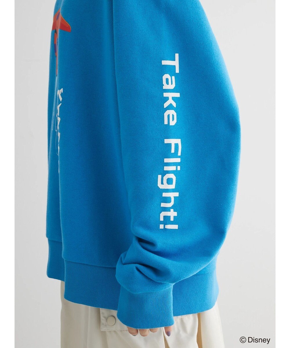 Green Parks ベイマックス／グラフィック裏毛プルオーバー 