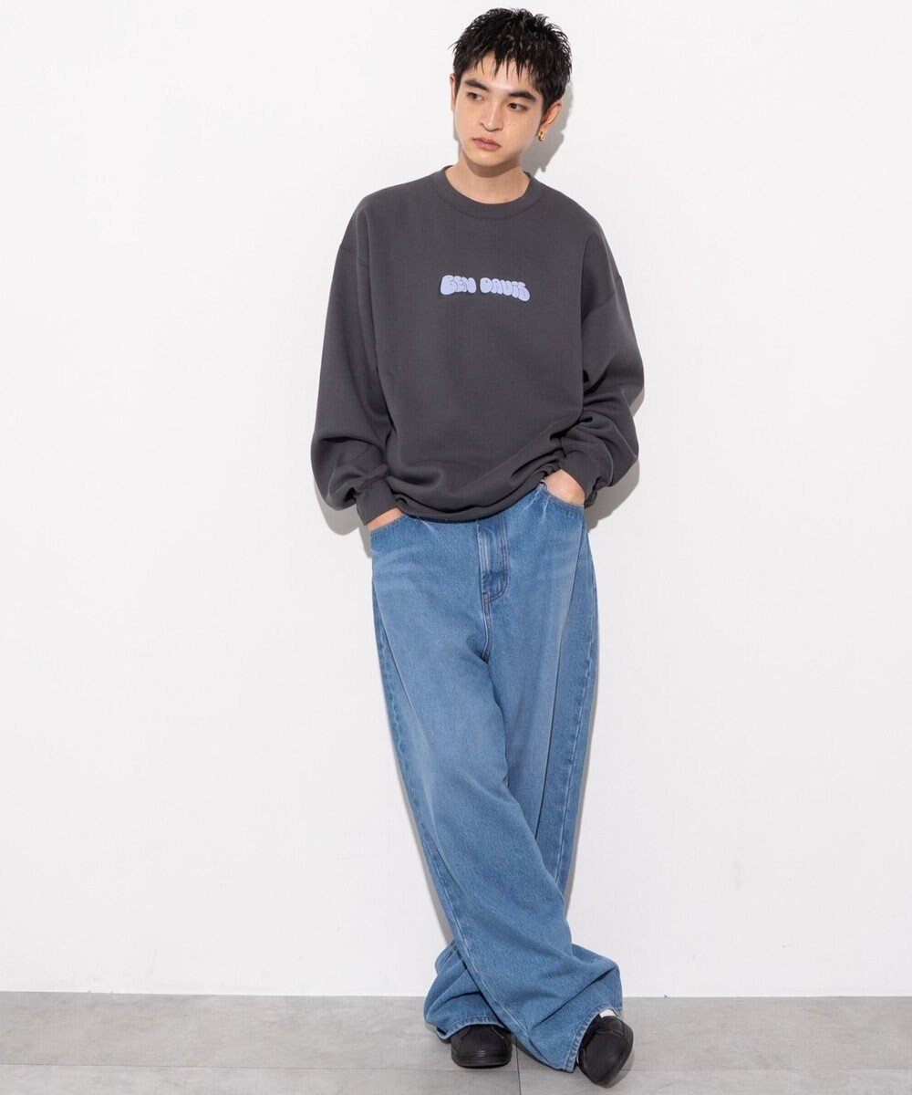 WEGO 【ユニセックス着用ITEM/MLサイズ展開/裏起毛】別注BENDAVISプランプロゴプルオーバー 