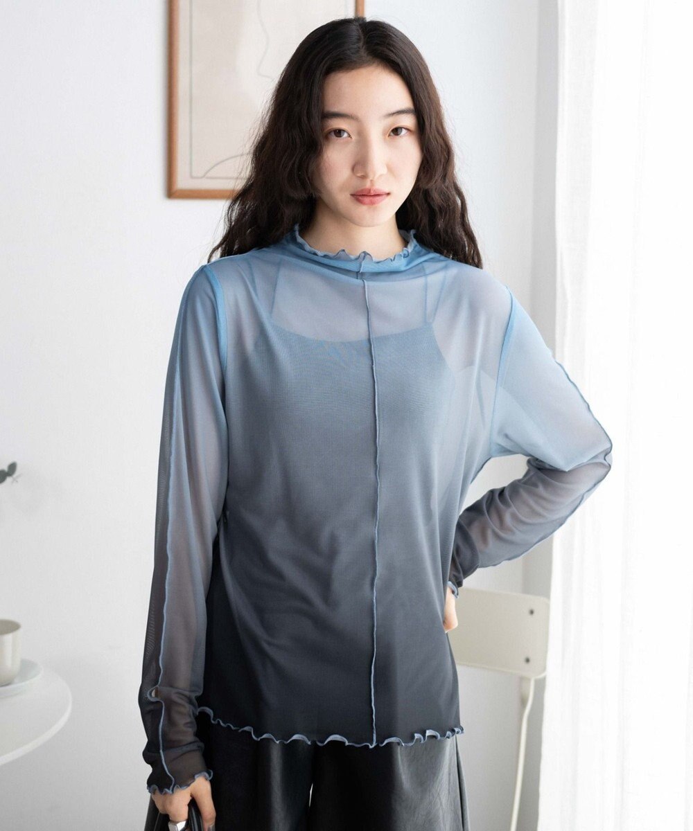 WEGO グラデーションシアーロンT 