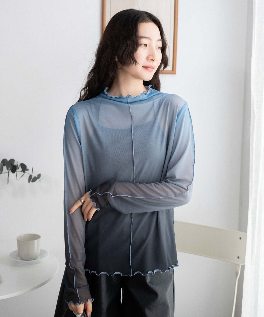 WEGO グラデーションシアーロンT 