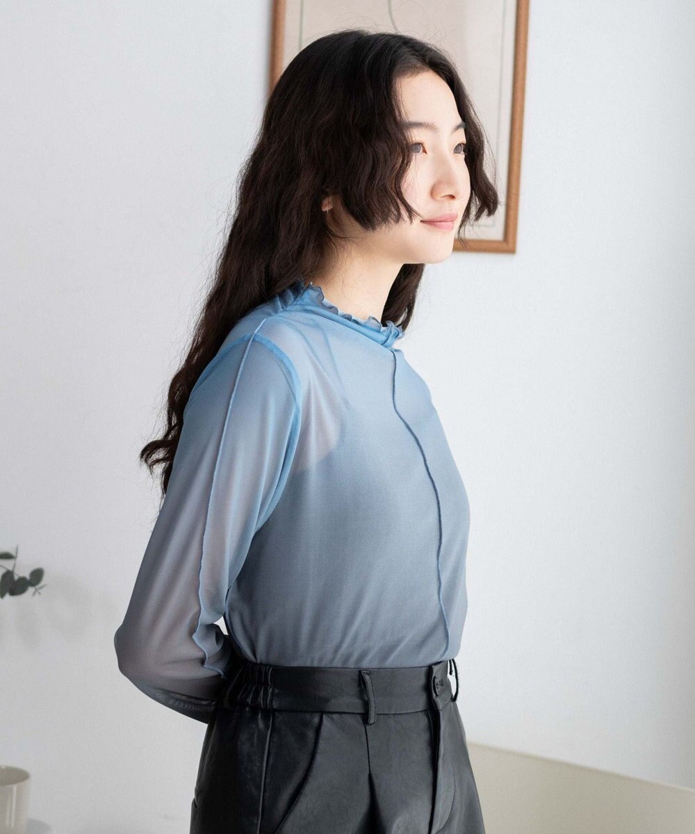 WEGO グラデーションシアーロンT 