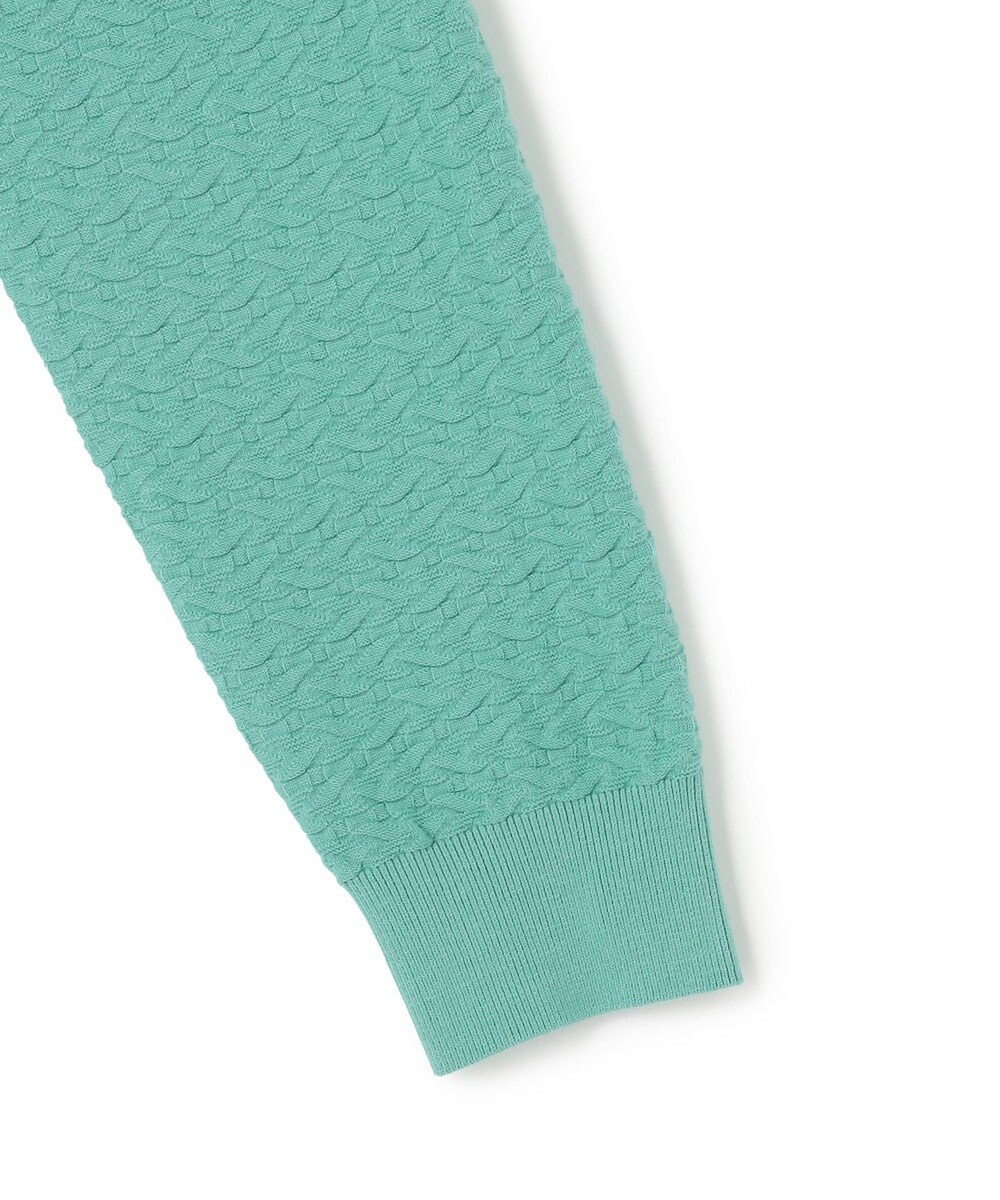 JOSEPH HOMME 新柄【イージーケア】 ヴィスコースリンクス　モックネックニット 