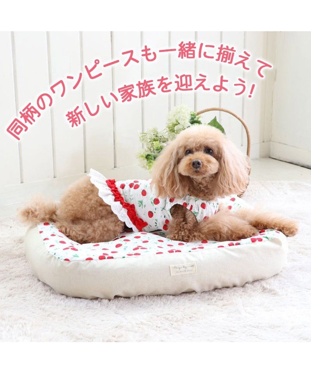 ペットパラダイス カバー付きカドラー 《いちご柄》 (57×45cm) / PET PARADISE | ファッション通販  【公式通販】オンワード・クローゼット