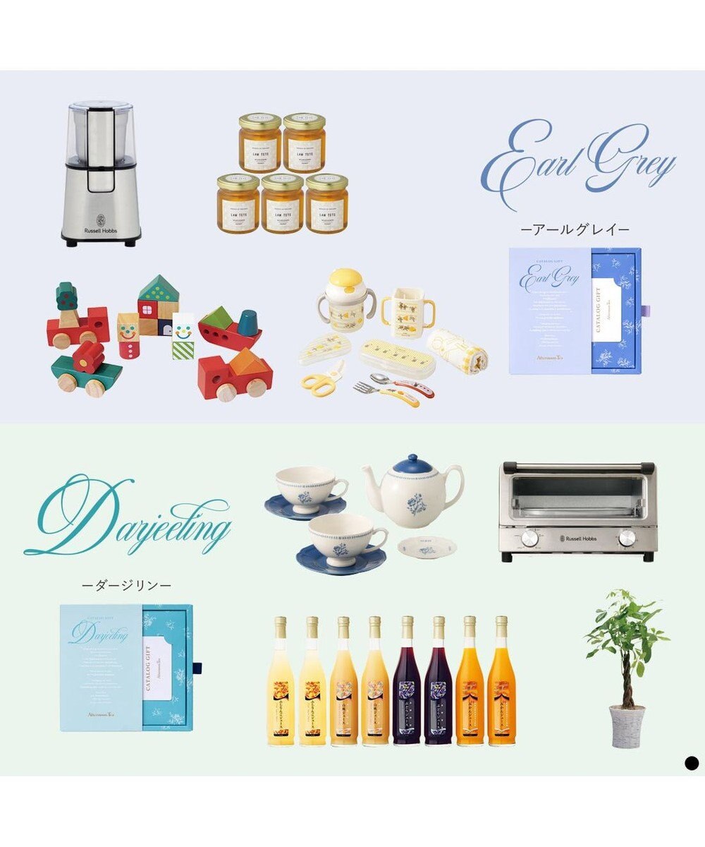PRESENTERS ROOM Afternoon Tea CATALOG GIFT Darjeeling（ダージリン） 