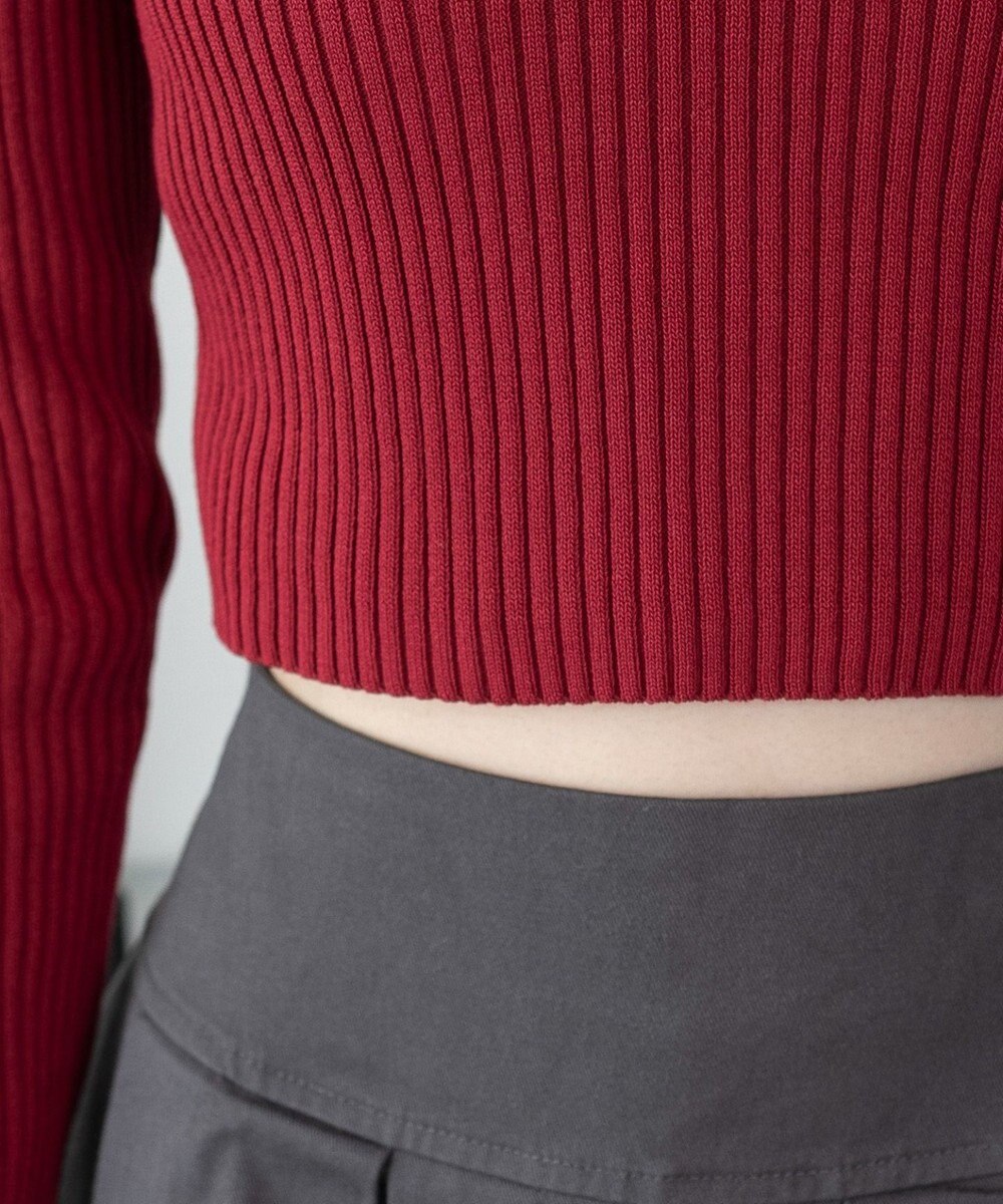 WEGO 【2025年秋冬新作】リブハイネックショートニット 