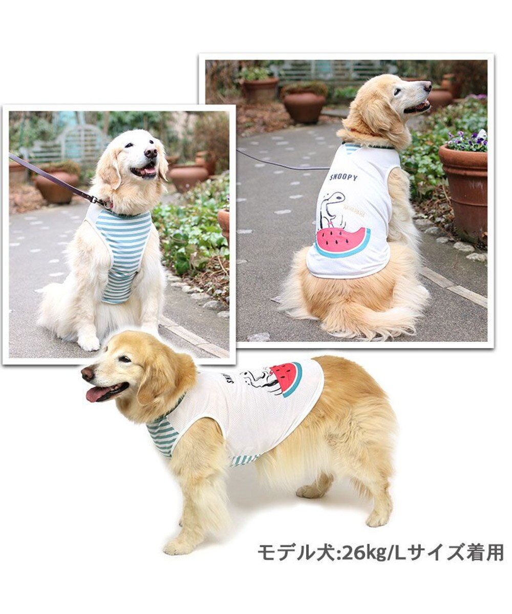 犬 夏服 ひんやり クール 接触冷感 スヌーピー タンクトップ 中型犬 大型犬 スイカ すいか ペットウエア ドッグウエア ドッグウェア イヌ おしゃれ かわいい ひんやり 夏 涼感 冷却 吸水速乾 Pet Paradise ファッション通販 公式通販 オンワード クローゼット 犬 夏服 ひんやり クール 接触冷感 スヌーピー タンクトップ 中型犬 大型犬 スイカ すいか ペットウエア ドッグウエア ドッグウェア イヌ おしゃれ かわいい ひんやり 夏 涼感 冷却 吸水速乾 Pet Paradise ファッション通販 公式通販 オンワード クローゼット