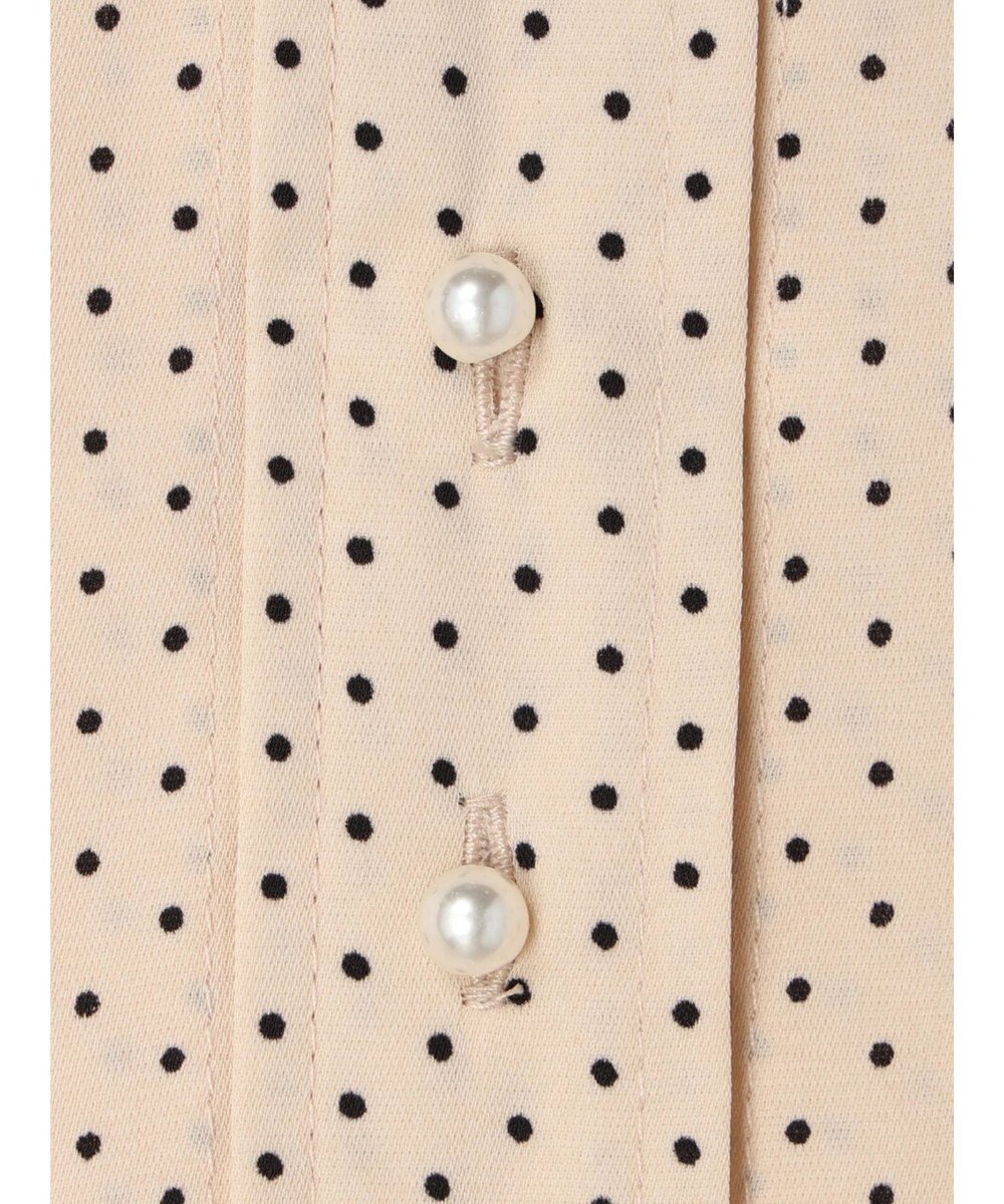 CRAFT STANDARD BOUTIQUE ピコフリルドットブラウス 