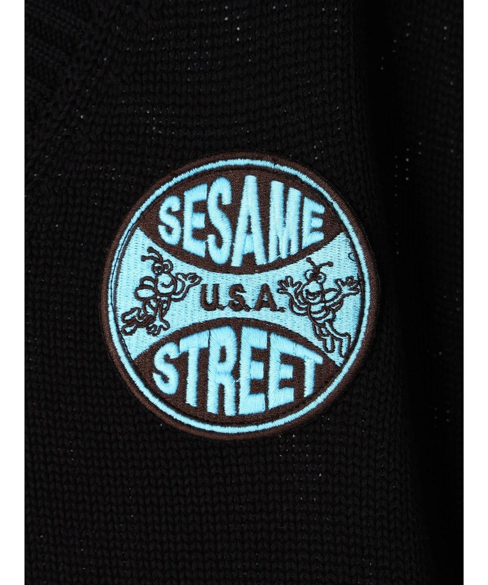 AMERICAN HOLIC Ｖネックベスト／セサミストリート 