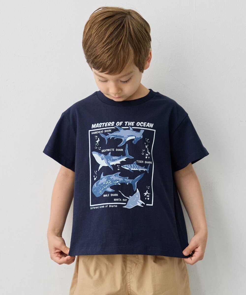 ANY KIDS 【洗濯機可能】サメプリント 半袖Tシャツ 