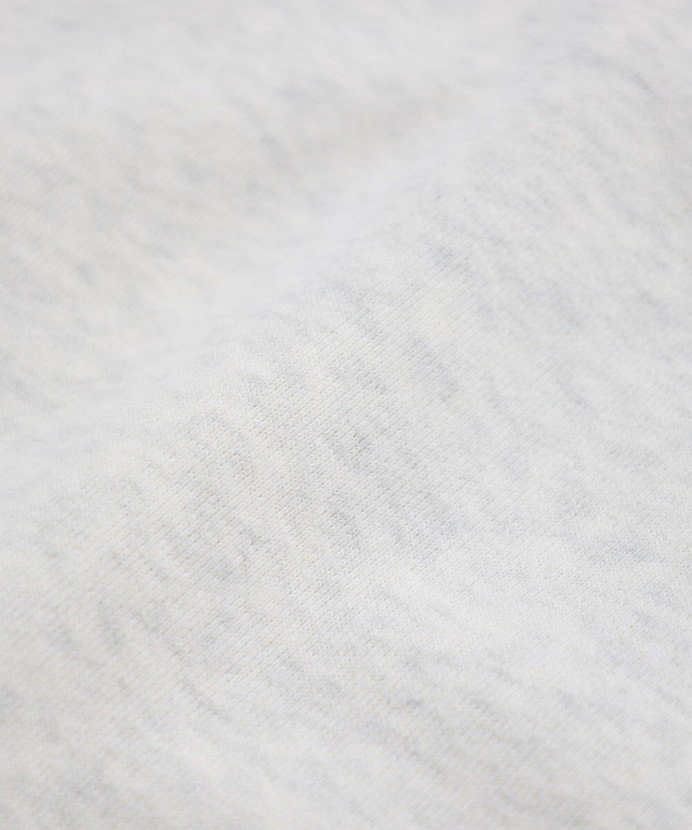 earth music&ecology チャンピオン　ｅｍａｅハーフジップ裏毛プルオーハ 