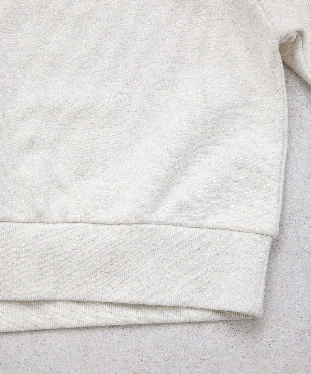 earth music&ecology チャンピオン　ｅｍａｅハーフジップ裏毛プルオーハ 