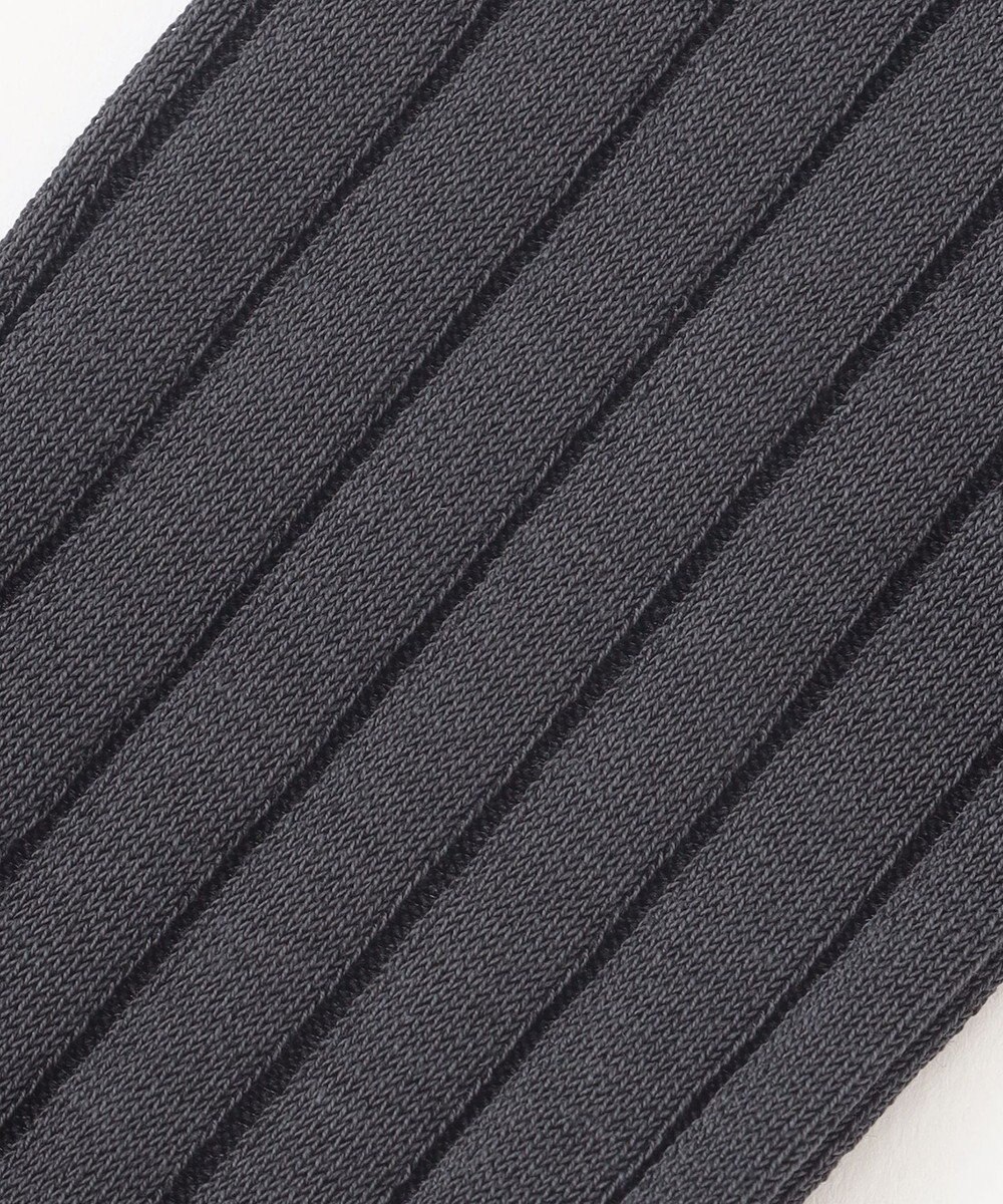 J.PRESS MEN 【定番】ハイゲージワイドストライプ リブソックス 