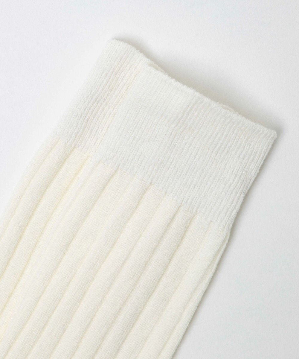 WEGO ゆるリブハイソックス 