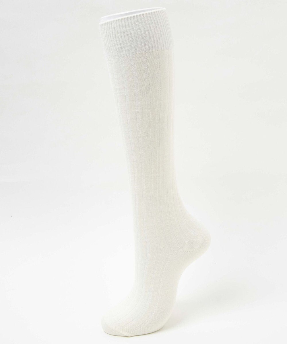 WEGO ゆるリブハイソックス 