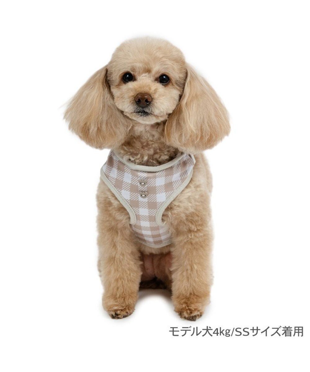 PET PARADISE ペットパラダイス くまちゃん リュック付き ハーネス ３Ｓ 小型犬 