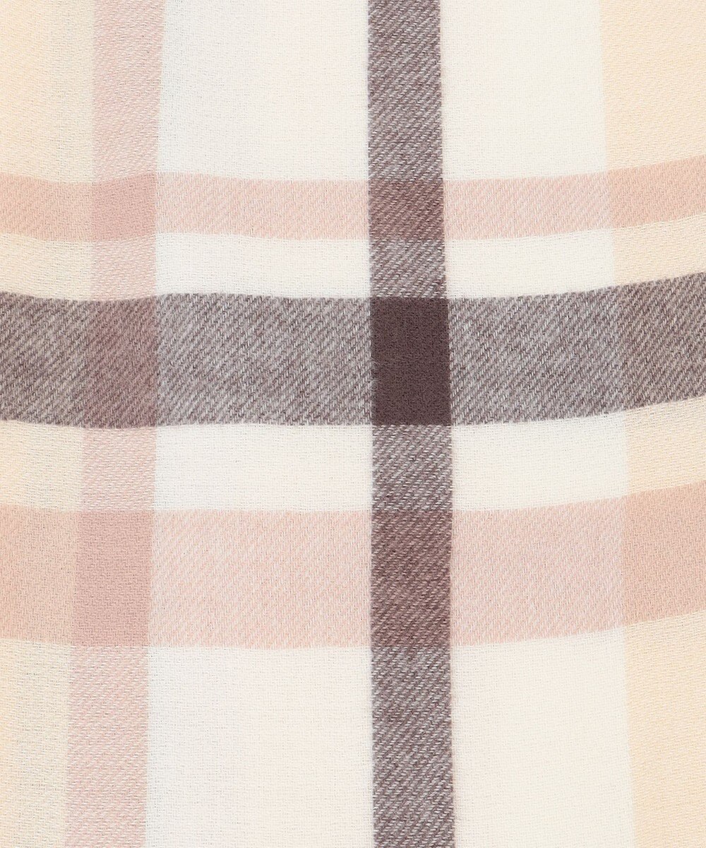 ANY SIS マルチチェック ストール 