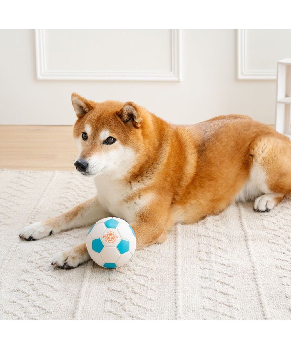 PET PARADISE ペットパラダイス サッカーボール 大 