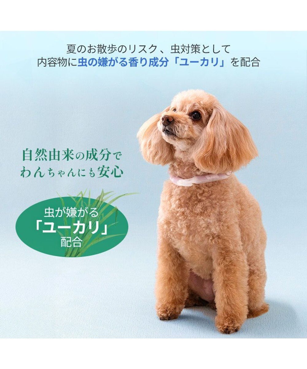 PET PARADISE ペットパラダイス 28℃クールリング  《くま》 Ｓ 小型犬 