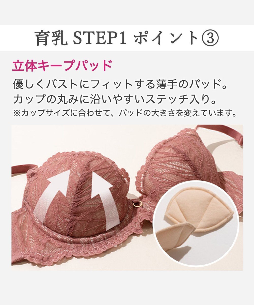 BRADELIS New York 【BRADELIS New York / 育乳補整ブラ・STEP1 集める】ジャスミンステップ1ブラ26S2 