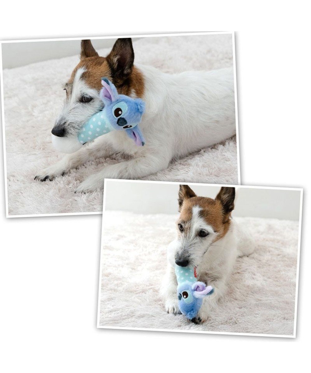 PET PARADISE ディズニー スティッチ ダンベル トイ 