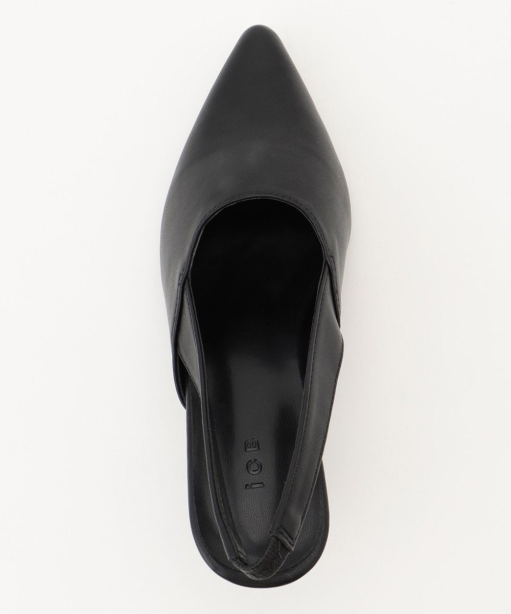 ICB ポインテッドミュール 