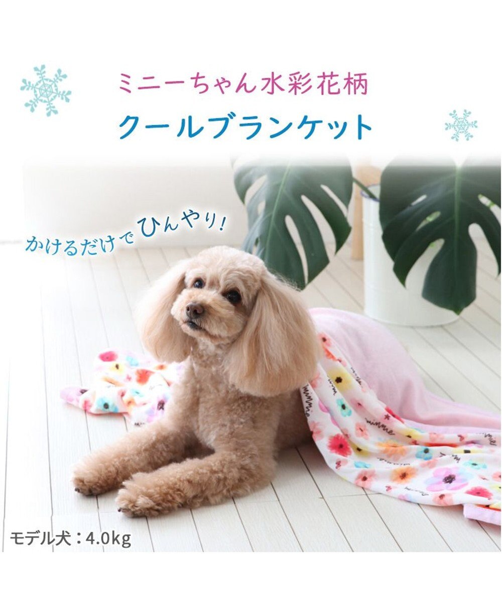 PET PARADISE ディズニー ミニーマウス 花柄 クールブランケット (90×60cm) 