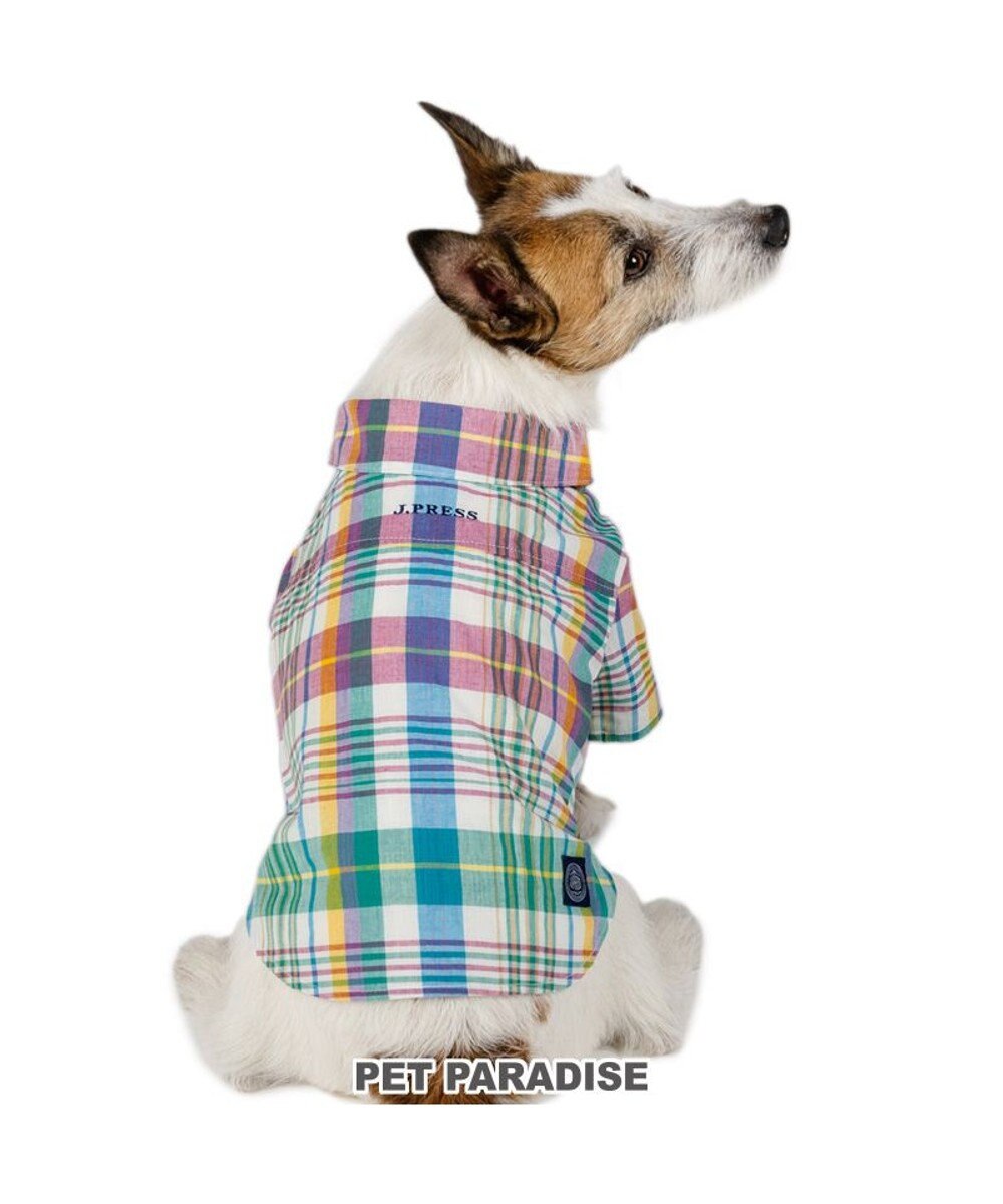 PET PARADISE J.PRESS マドラスチェック シャツ 小型犬 