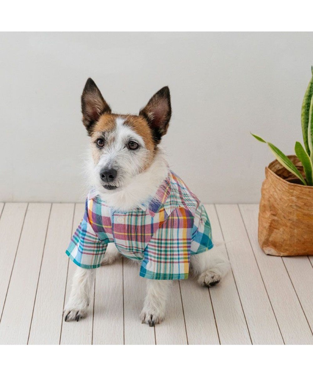 PET PARADISE J.PRESS マドラスチェック シャツ 小型犬 
