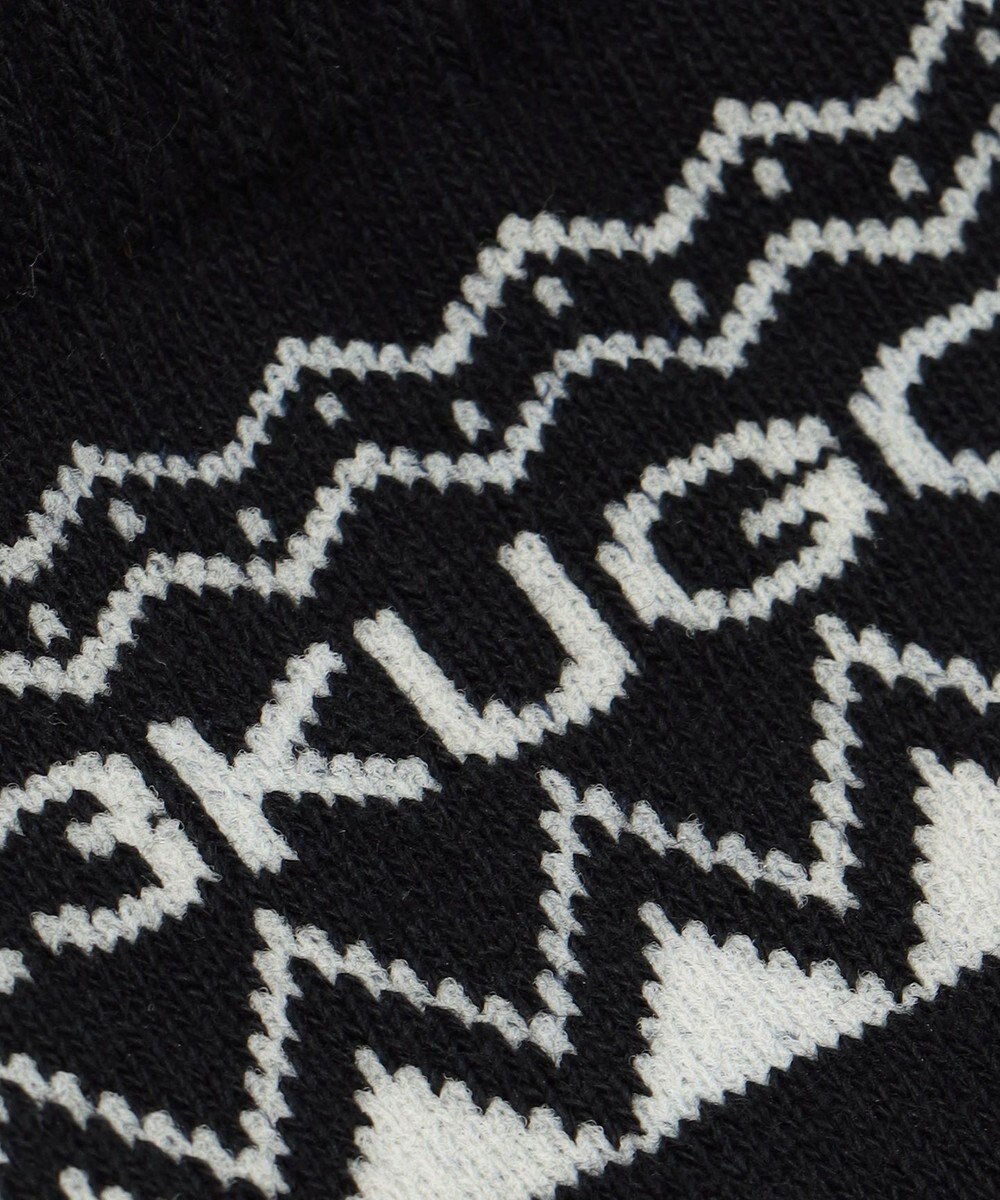 23区GOLF 【WOMEN】ノルディクロゴ ショートソックス 