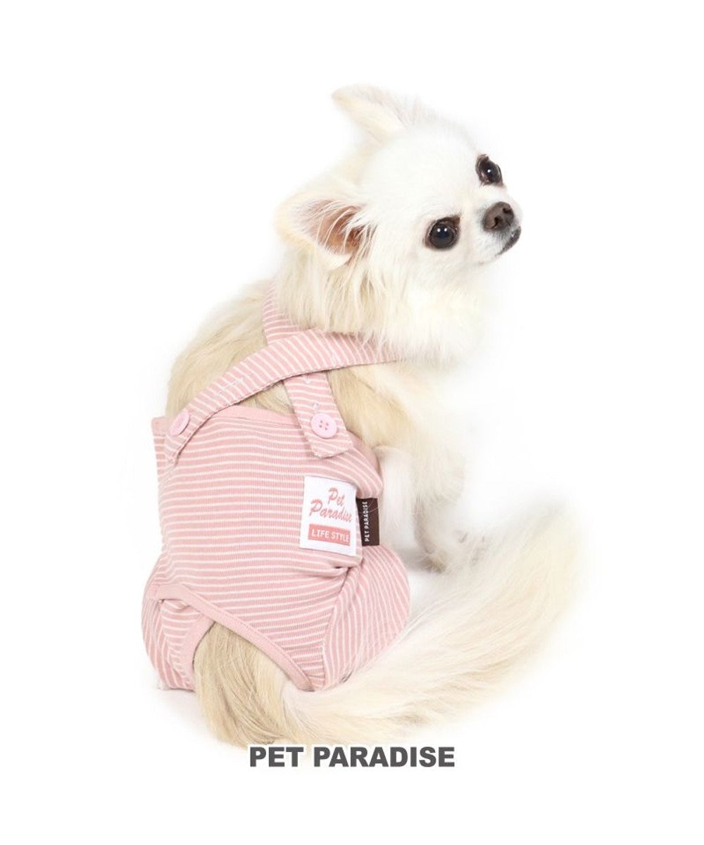 新品 未使用 犬 マナーベルト犬用 犬服 パンツ 小型犬 マナーウェア