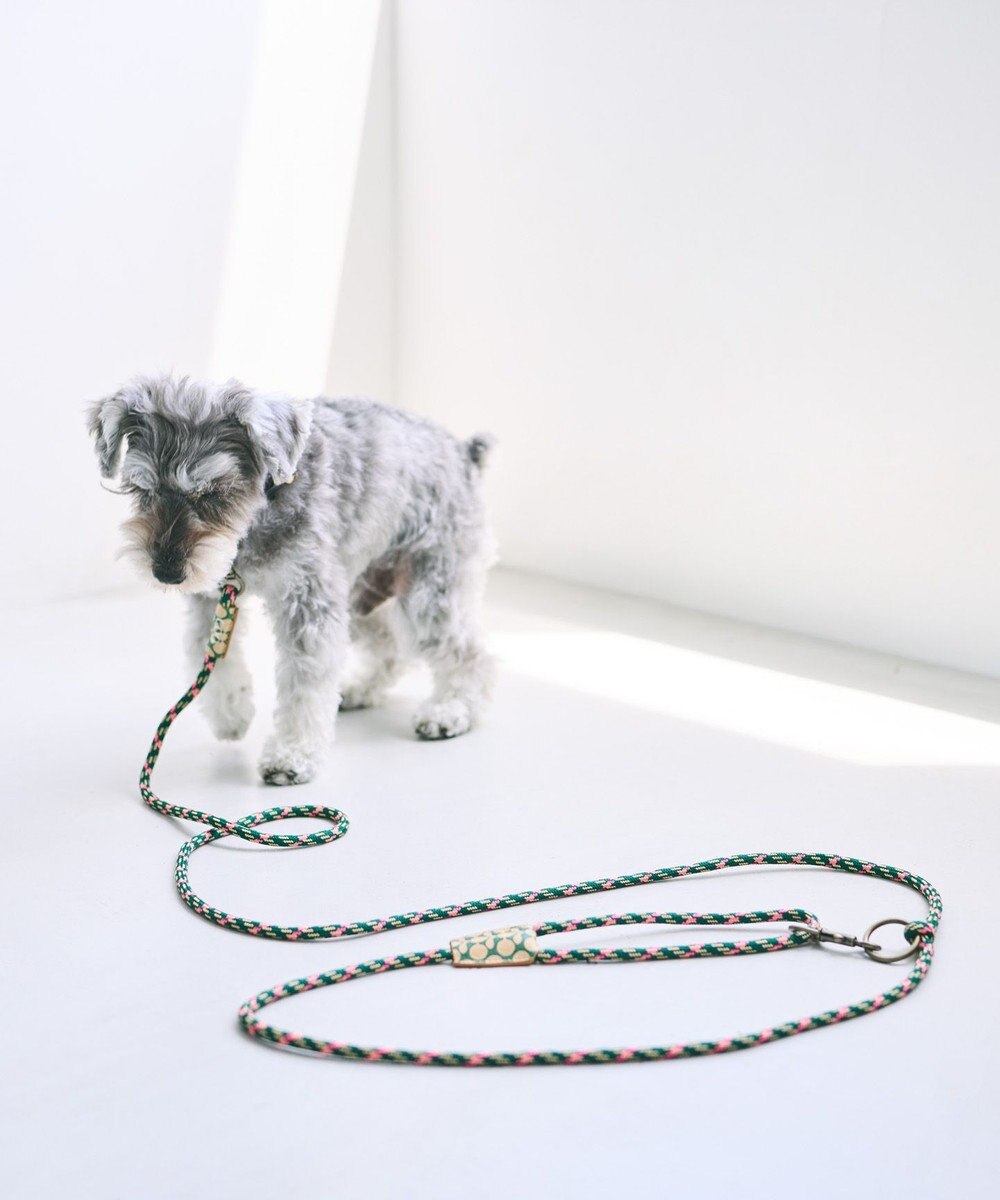 COQ UPBEAT CROSS ハンズフリーロングドッグリード 