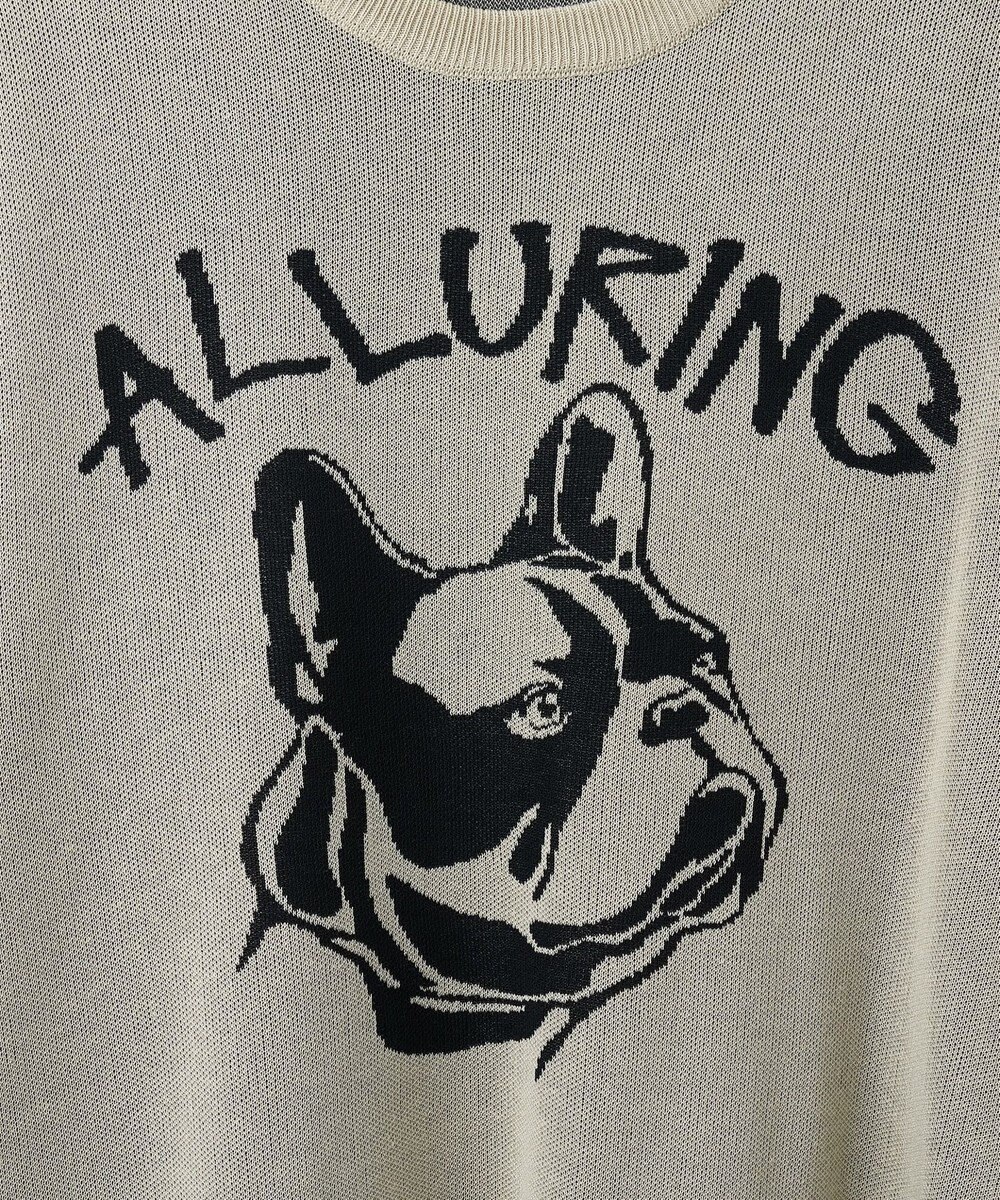 WEGO 【ユニセックス着用ITEM】ジャガードニットプルオーバー（S） 