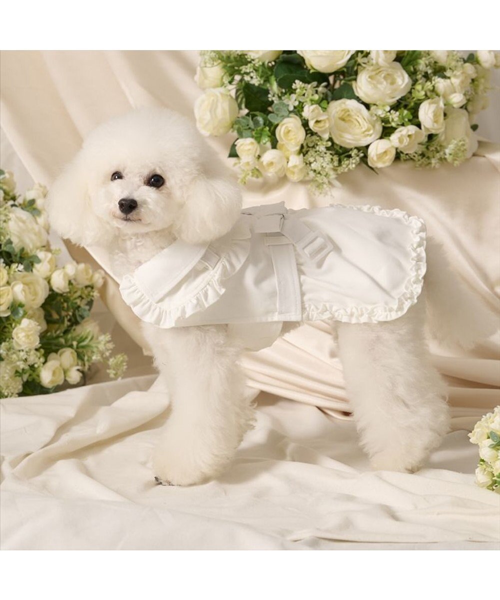 PET PARADISE cherircouture フリフリ トレンチコート 小型犬 