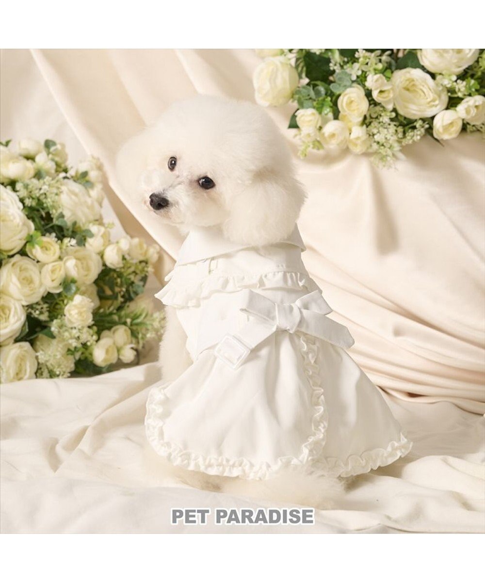 PET PARADISE cherircouture フリフリ トレンチコート 小型犬 
