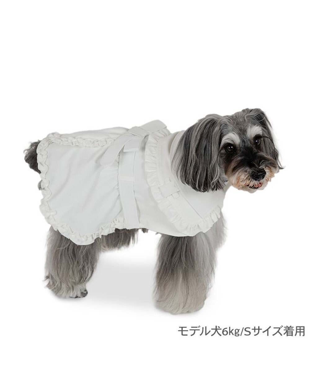 PET PARADISE cherircouture フリフリ トレンチコート 小型犬 