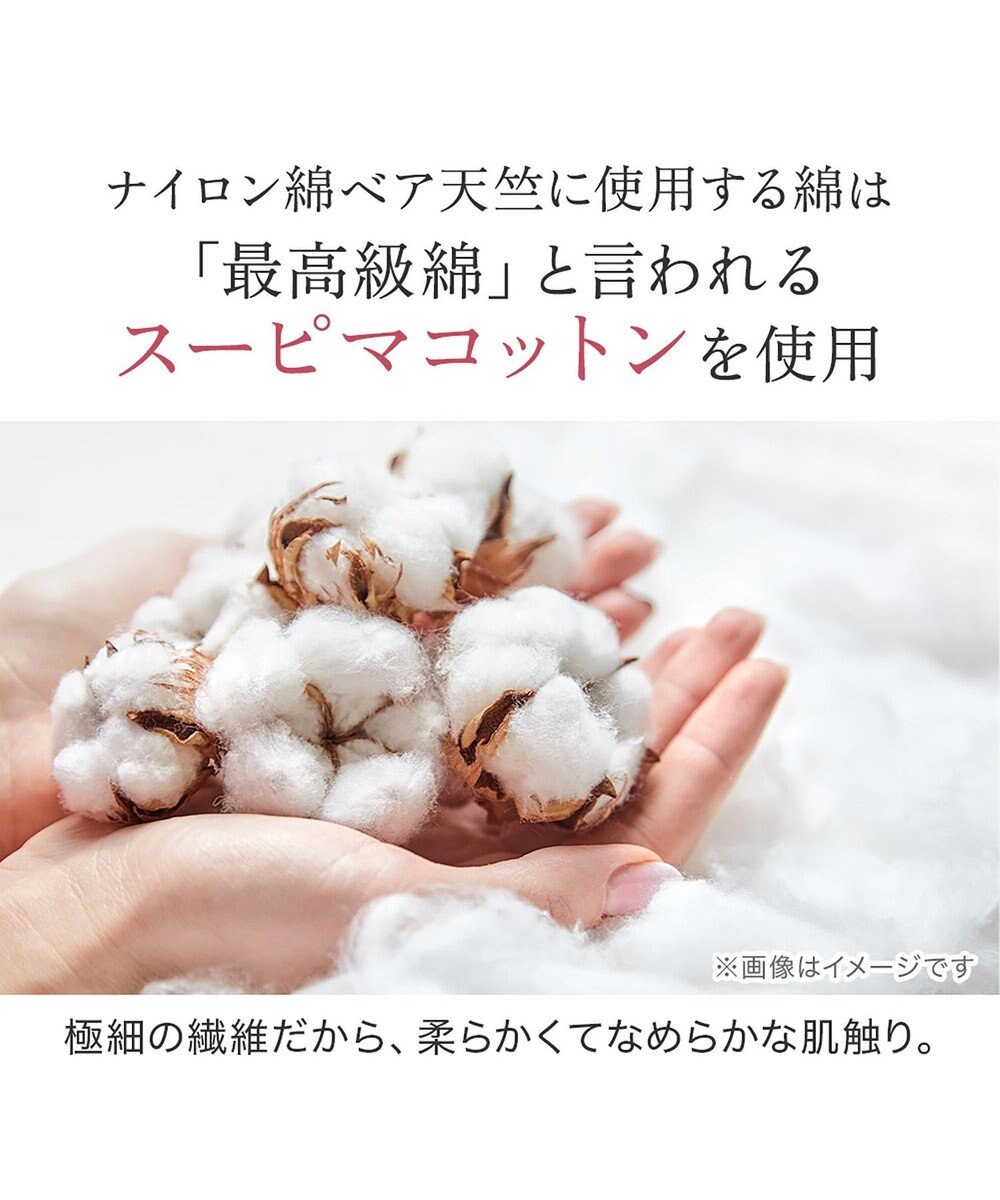 BRADELIS New York 【BRADELIS NewYork peace】　華やかレーシーガードル24 